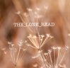 The_Lone_Read